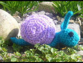 Snail