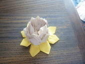 Lotus Flower / Spring Tutorial