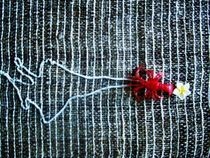 Lobster Necklace :D