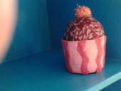 Cupcake Container