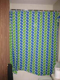 Homemade Shower Curtain