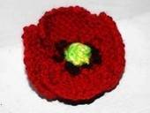 Poppy