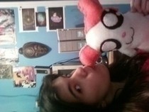 Hamtaro