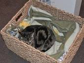 Murphys Bed 2