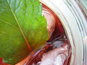 Iced Tea With Rose And Herbs