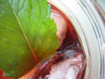 Iced Tea With Rose And Herbs