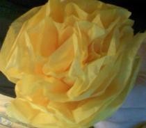 Tissue Paper Carnation