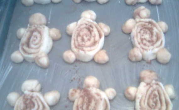 Turtle Cinnamon Buns 