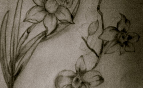 How To Draw Flowers