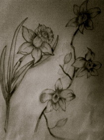 How To Draw Flowers