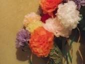 Paper Flowers