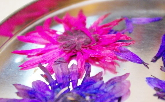 Super Quick Flower Press!