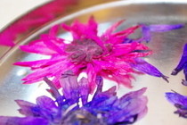 Super Quick Flower Press!