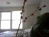 Small_full_photo_514_1304874305