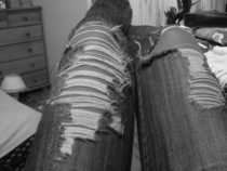 Ripped Jeans