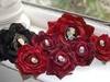 Small_full_family_of_dead_roses_1305396558