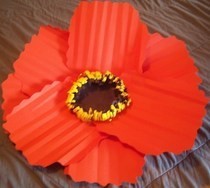Diy Paper Poppy Flowers