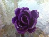 Plastic Spoon Rose