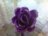 Small_full_photo0685_1306176932