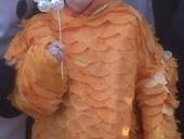 Goldfish Costume