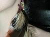 Feather Earrings