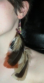 Feather Earrings
