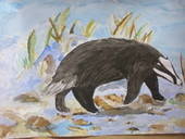 Badger