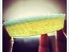 Small_full_project10_1307026295