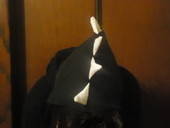 Dinosaur Hat