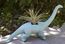 Dino For Daddio!