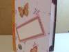 Small_full_envelope_front_1307288623