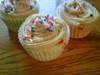 Small_full_cupcakes1_1307449102