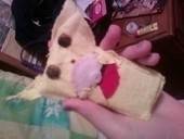 Pikachu Ipod Case