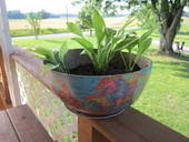 Freecycled Planters