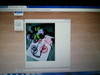 Small_full_wp_000456_1308011367