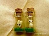 Bottle Surprise