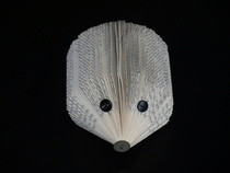 Book Hedgehog