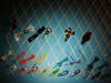 Small_full_sany0486_1308797777