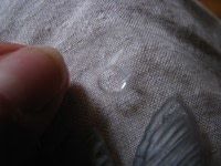 Step 6