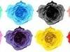 Small_full_multiple_roses_1309220087