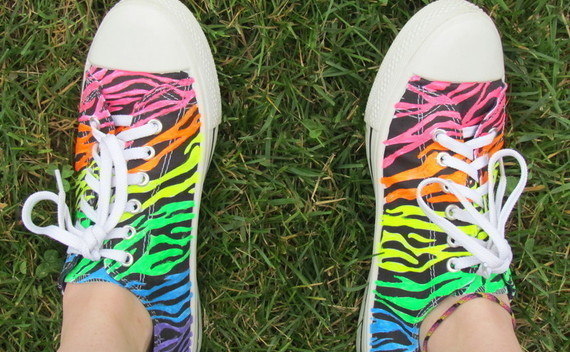 Rainbow Zebra Shoes