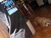 Tee Shirt Yoga Pants