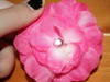 Small_full_img_4701_1309657200