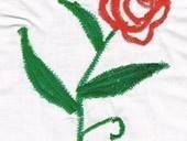 First Free Motion Embroiderie