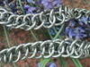 Small_full_imag0775_1310405785