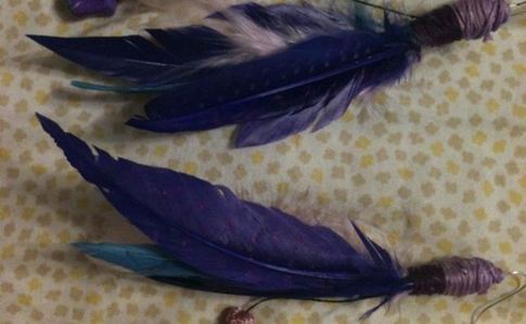 Feather Earrings  