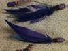 Small_full_14_1310503903