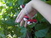 Small_full_dscn3404_1310653576