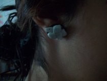 Car Freshener Shell Covered Earrings