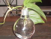 Upcycled Lightbulb Vase